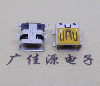 福州迷你USB插座,MiNiUSB母座,10P/全贴片带固定柱母头