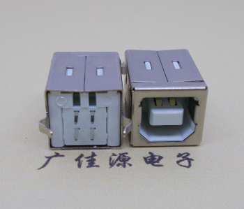 福州USB BF180度母座 打印机接口 立式直插带赛