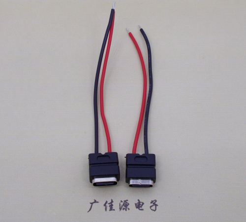 福州type c2p防水母座焊线式带线注塑成型带接线端子/不带接线端子充电连接器