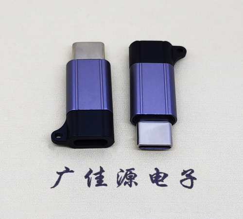 福州Type-C母转Type-C公 USB3.1 PD100W快冲接口